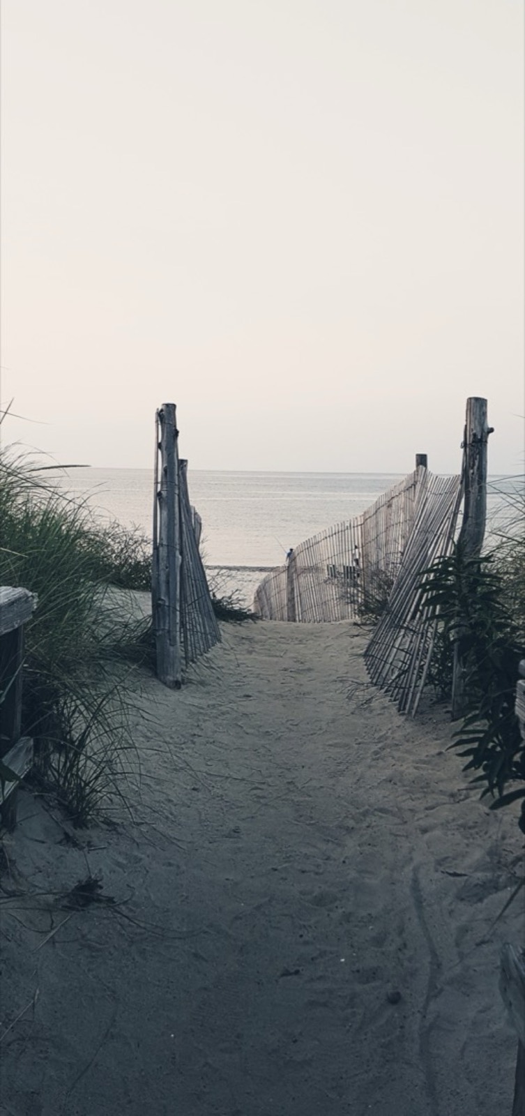 Sandy Neck, Barnstable, Massachusetts