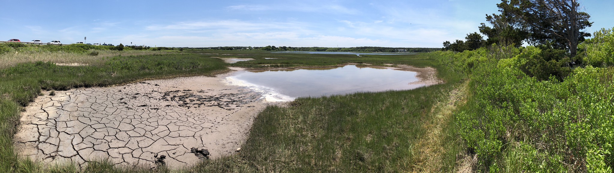 Joseph Sylvia State Beach - Sound, Edgartown, Massachusetts