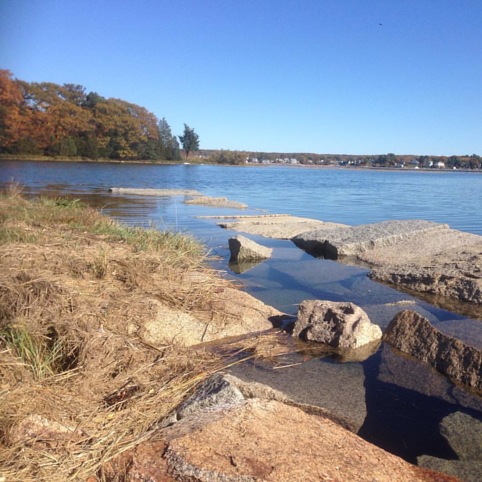 Wingearsheek, Gloucester, Massachusetts