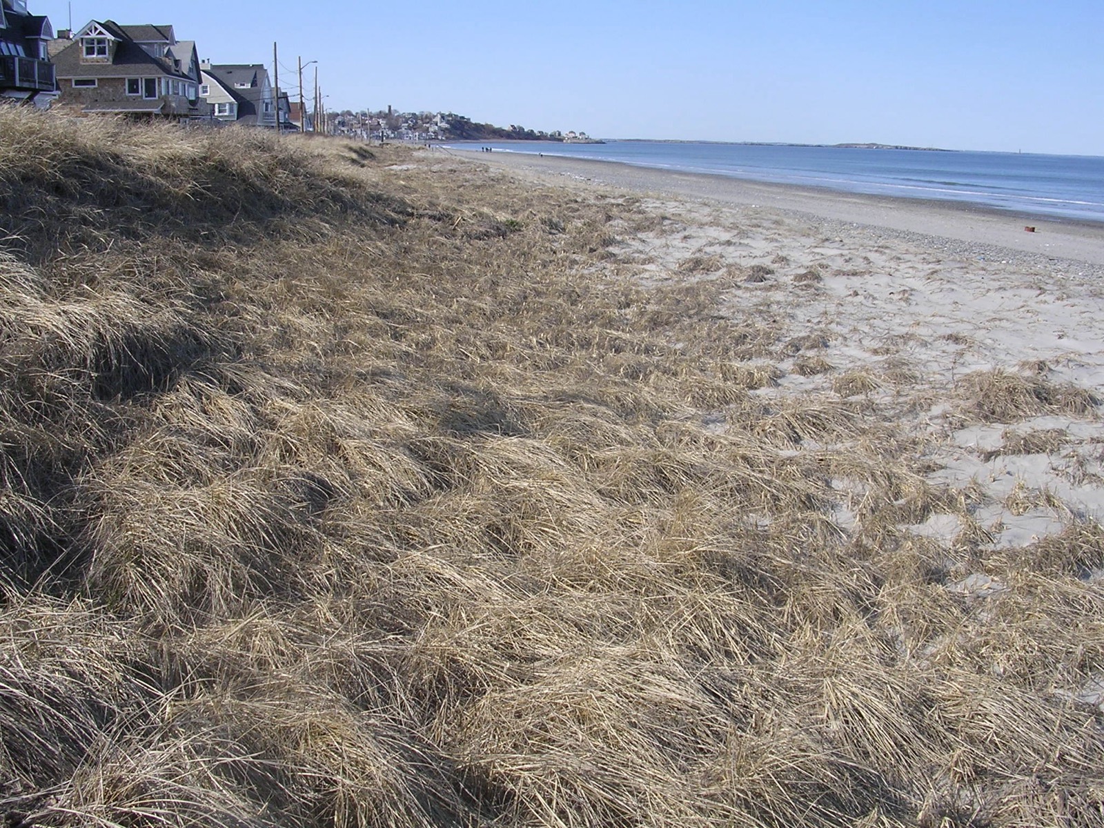 A Street Ocean, Hull, Massachusetts