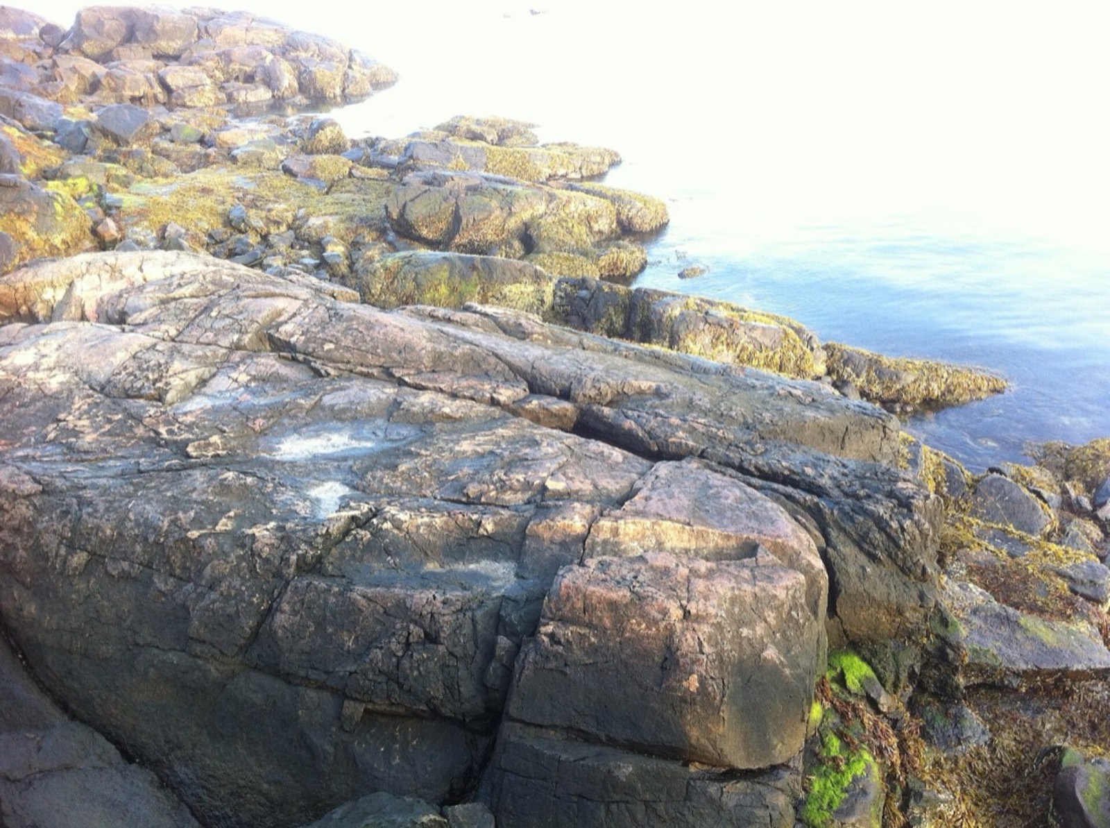 Willows Pier, Salem, Massachusetts