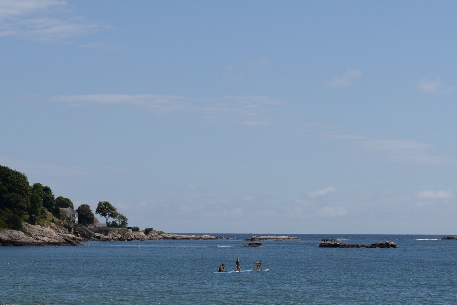 Whales, Swampscott, Massachusetts