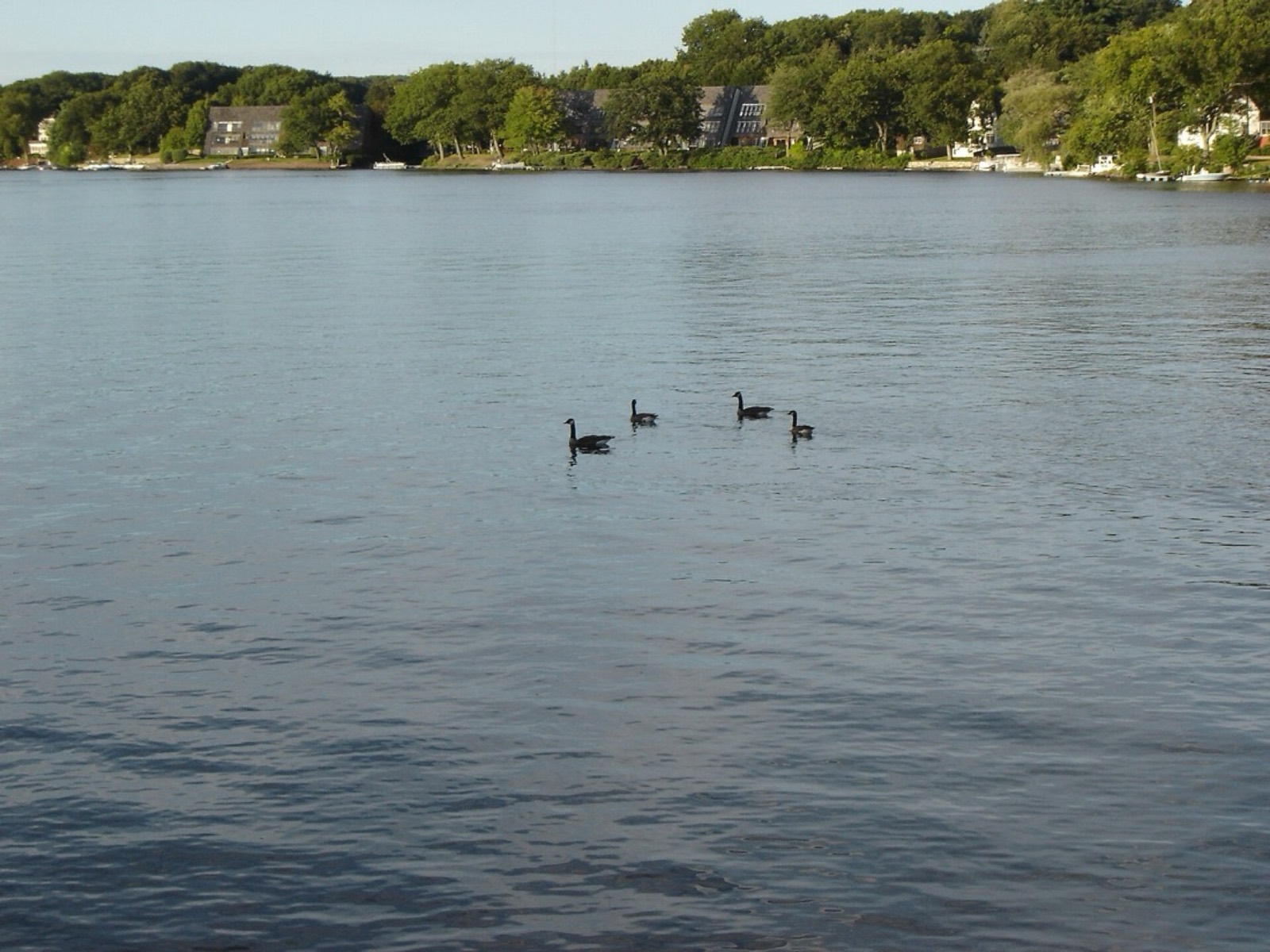 Regatta Point Beach, Worcester, Massachusetts