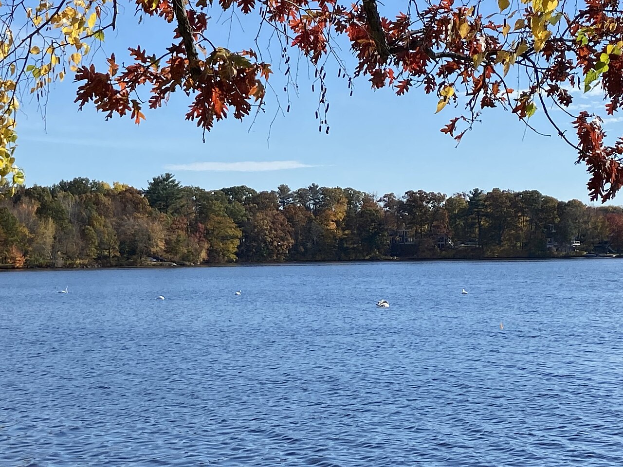 Lake Chauncy, Westborough, Massachusetts