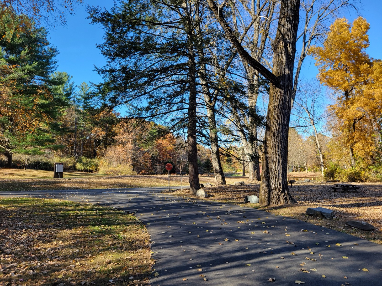 Robinson State Park, Agawam, Massachusetts