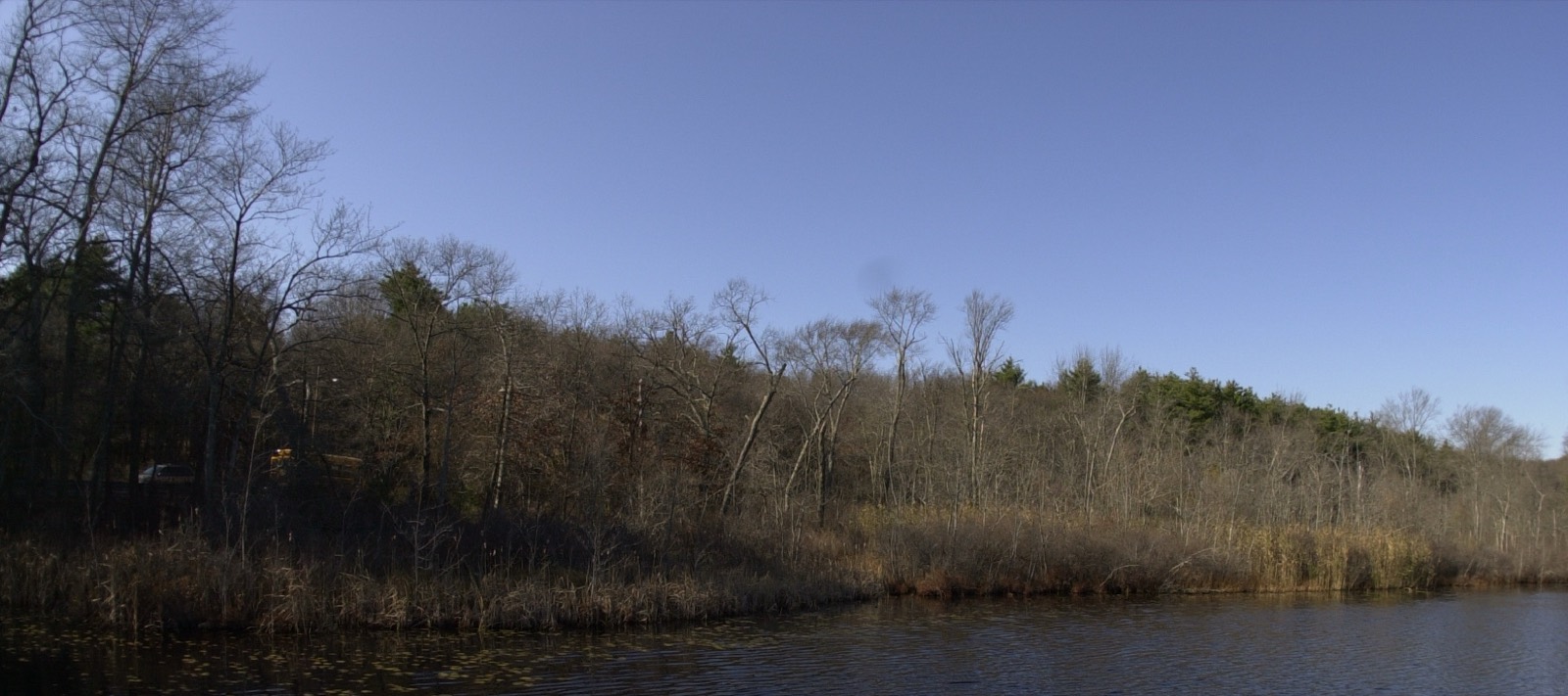 Stony Brook Reservation, Boston, Massachusetts