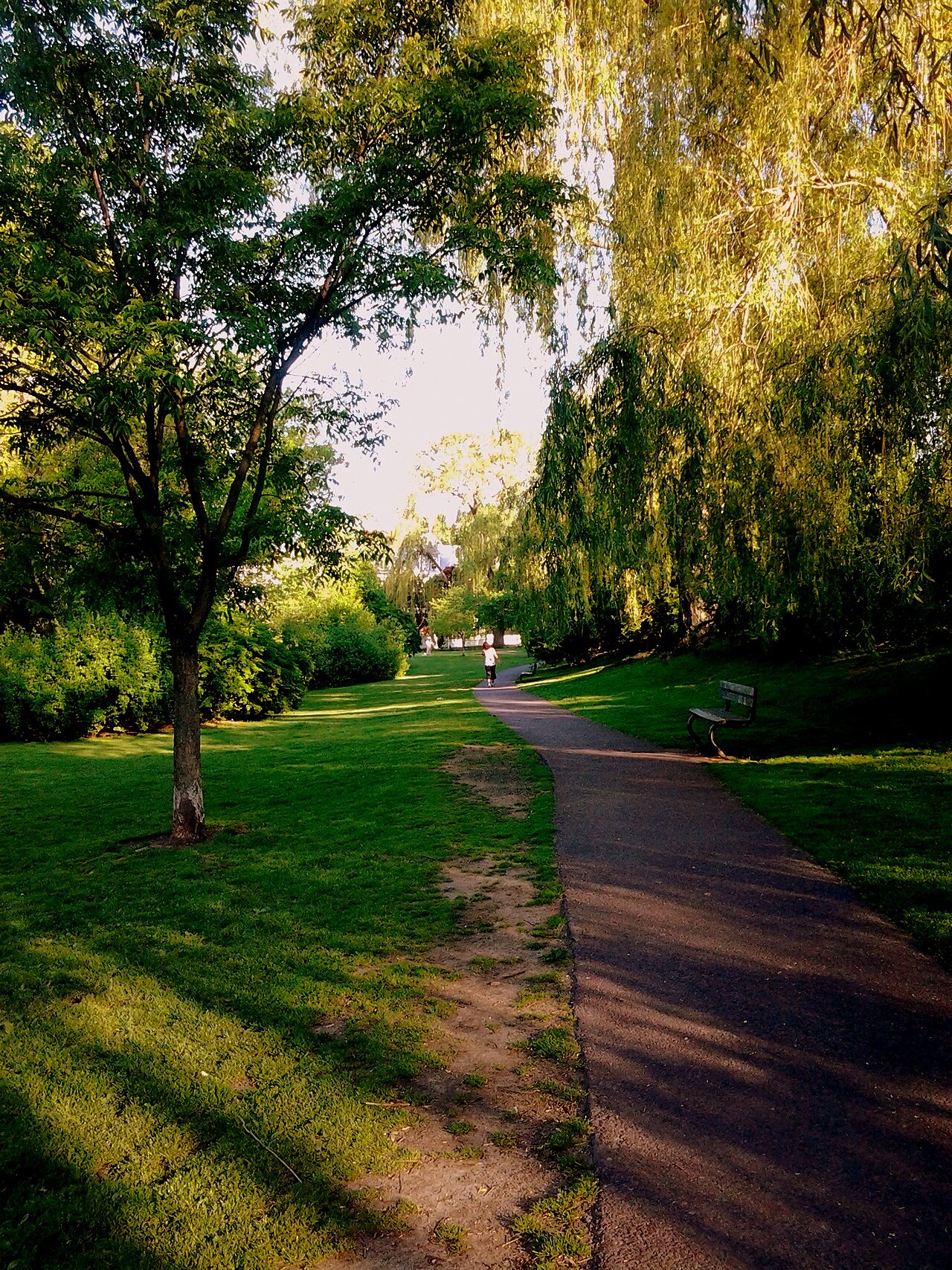 Griggs Park, Brookline, Massachusetts