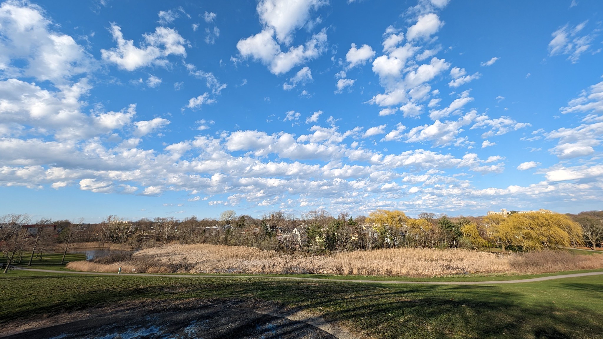Danehy Park, Cambridge, Massachusetts