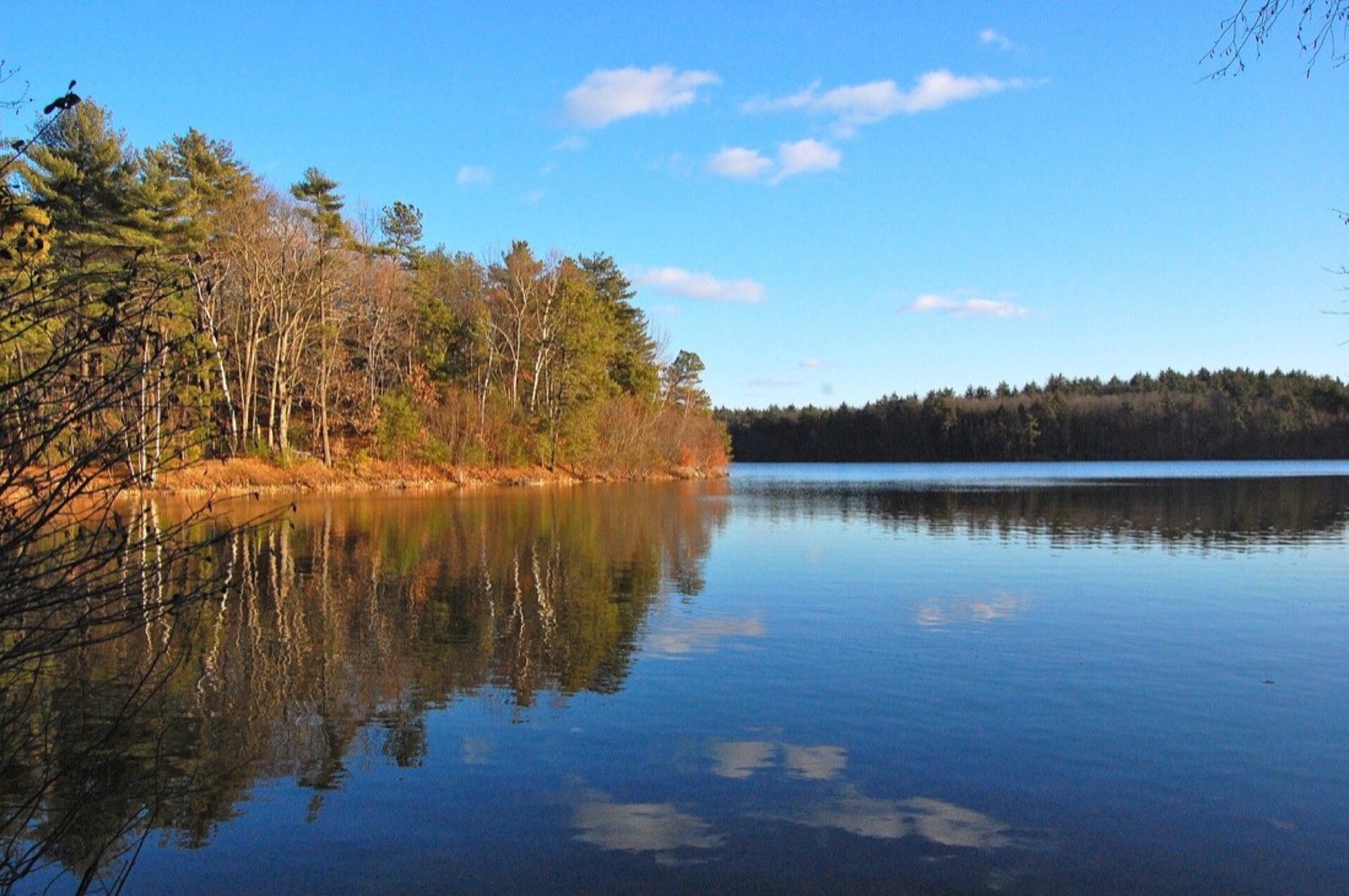 Walden Pond State Reservation, Concord, Massachusetts