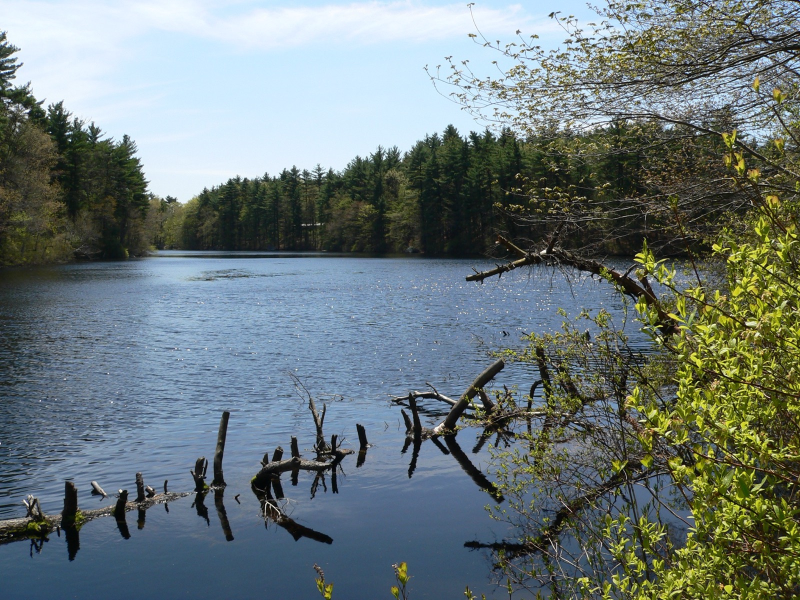 F. Gilbert Hills State Forest, Foxborough, Massachusetts