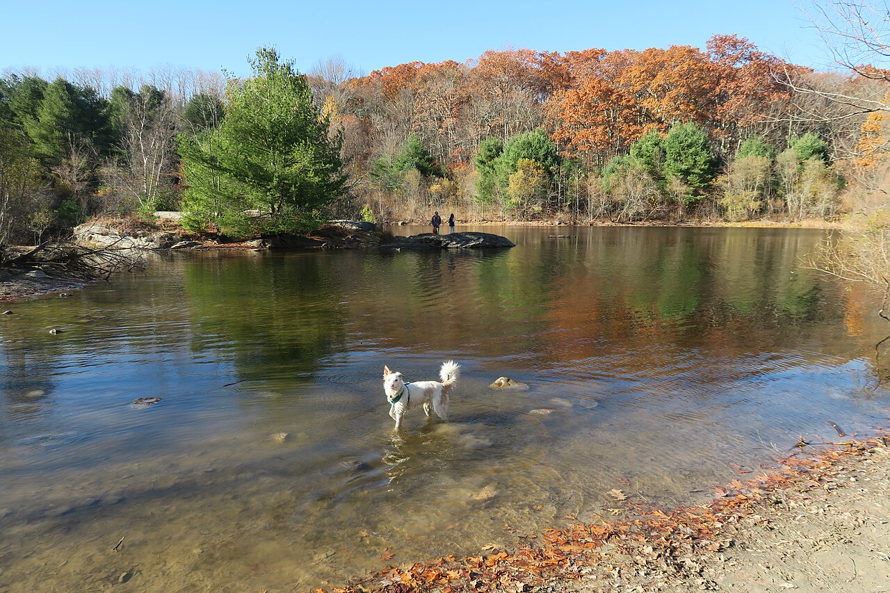 Callahan State Park, Framingham, Massachusetts
