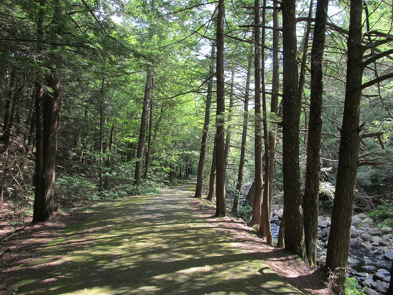 Granville State Forest, Granville, Massachusetts
