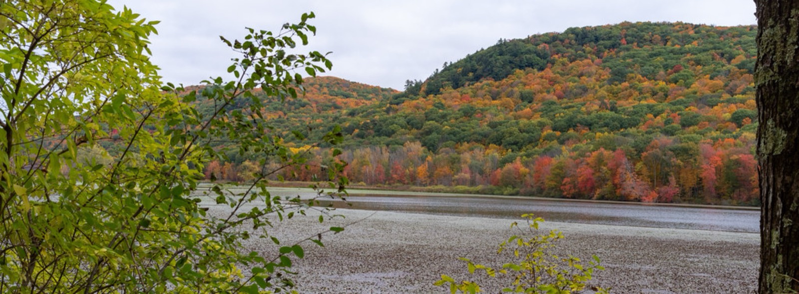 October Mountain State Forest, Lee, Massachusetts