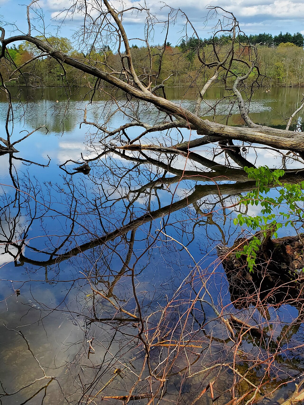 Weir Hill, North Andover, Massachusetts
