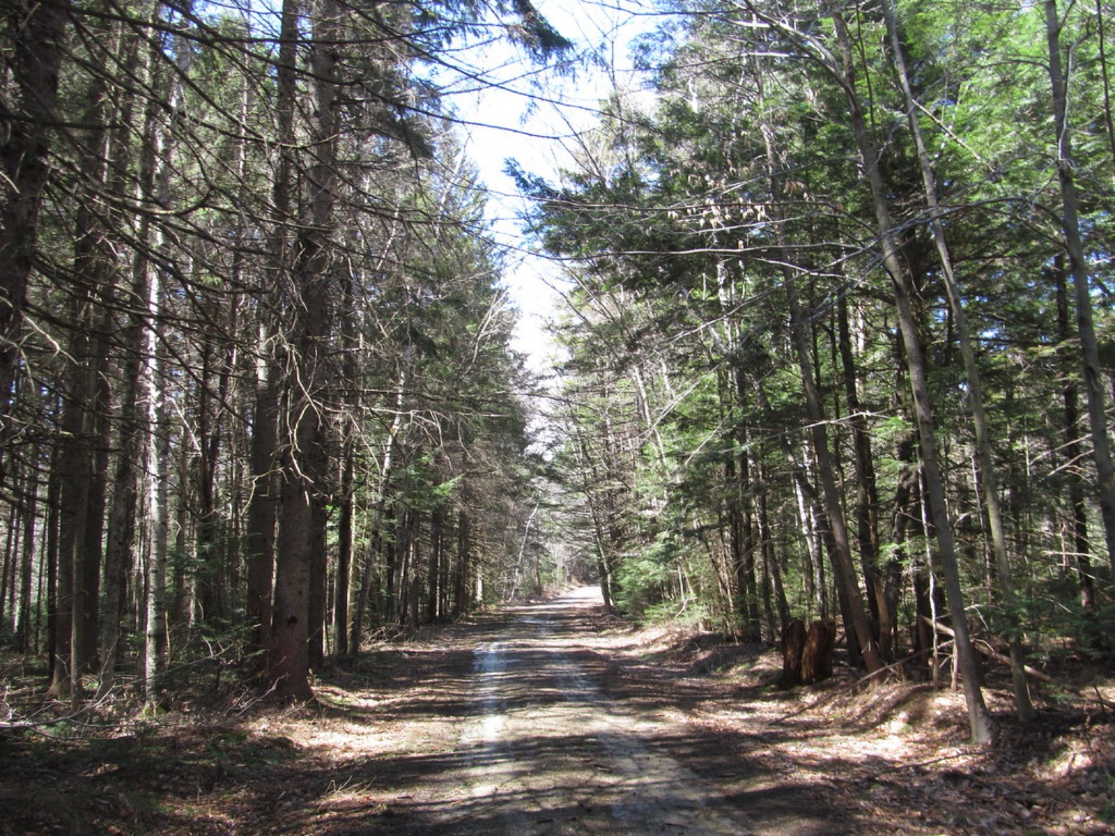 Savoy Mountain State Forest, Savoy, Massachusetts