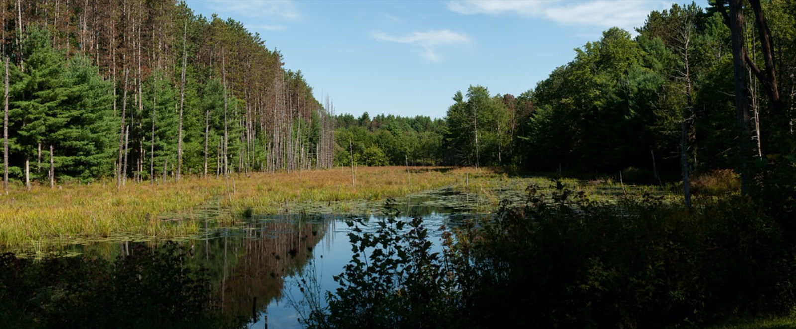 Wells State Park, Sturbridge, Massachusetts