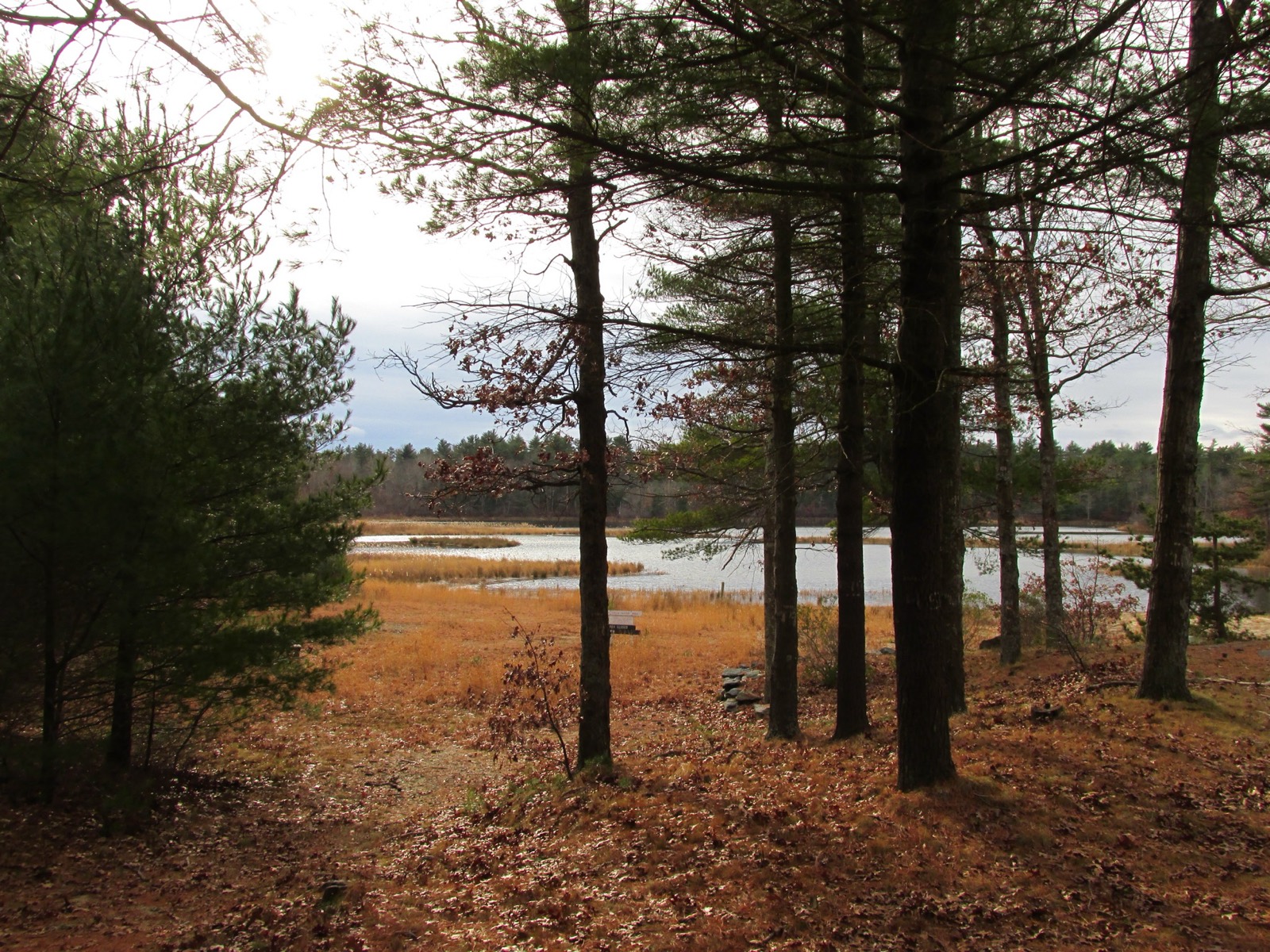 Massasoit State Park, Taunton, Massachusetts