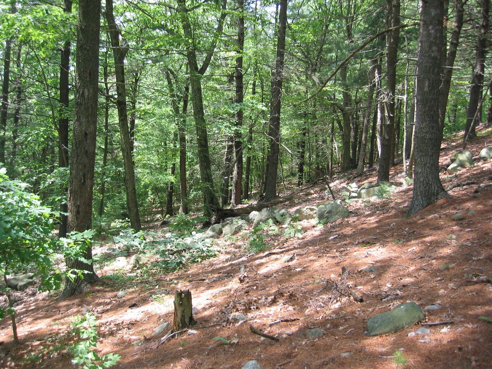 Prospect Hill Park, Waltham, Massachusetts
