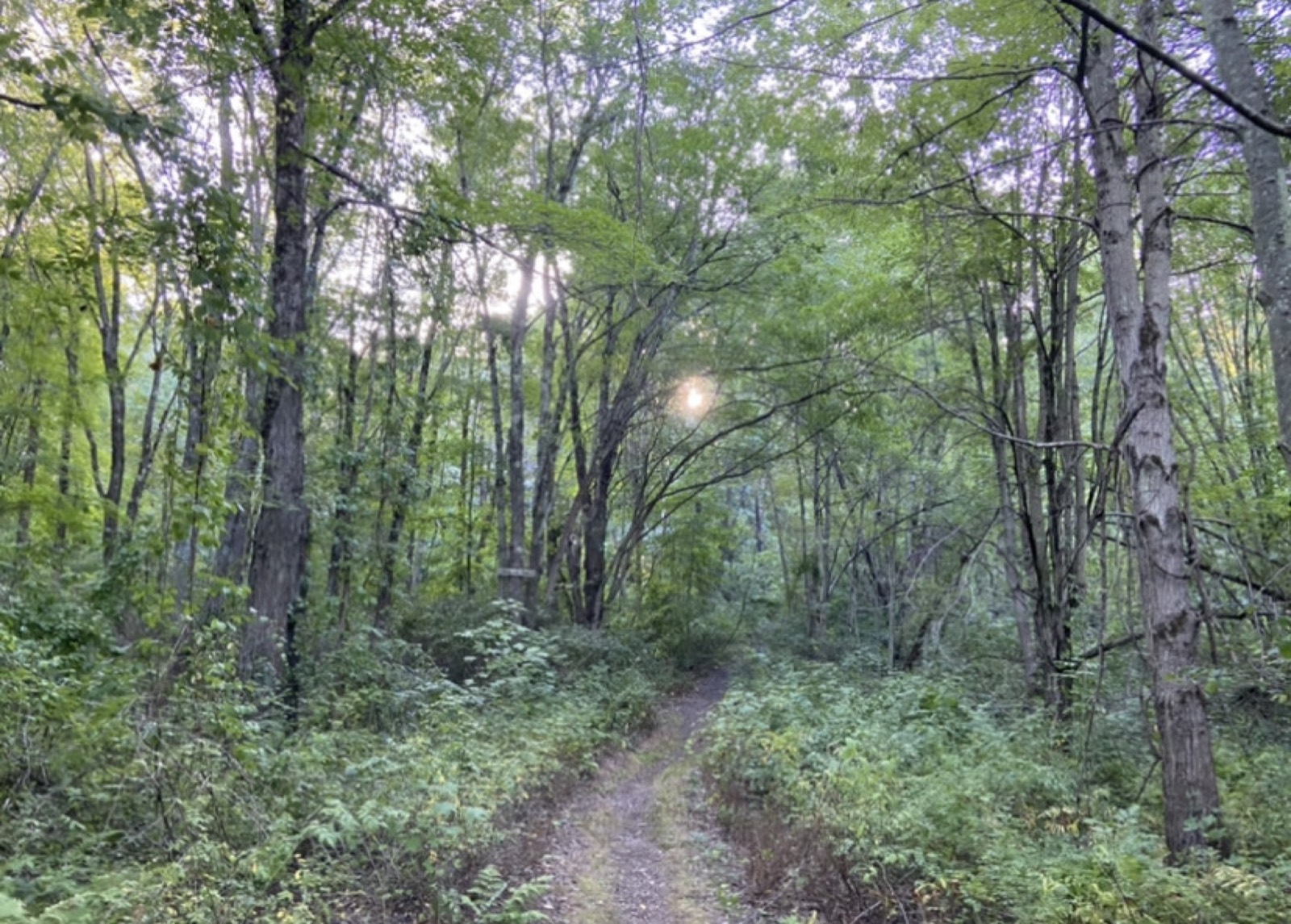 Mittineague Park, West Springfield, Massachusetts