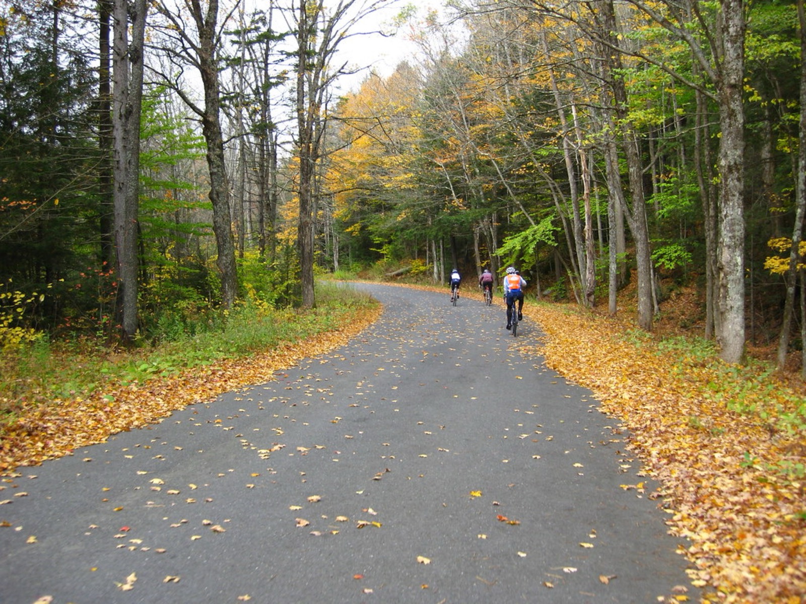 Windsor State Forest, Windsor, Massachusetts