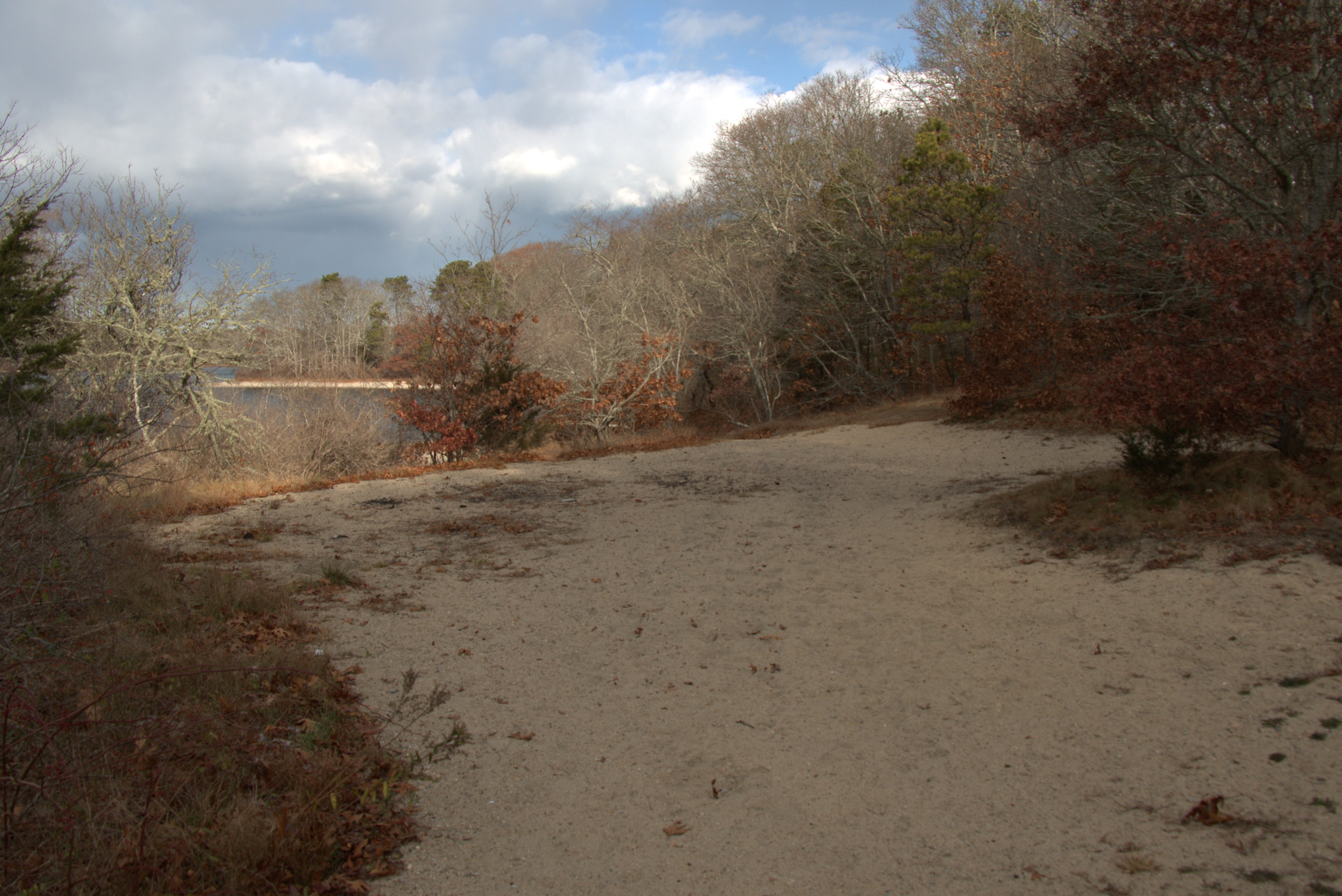 Lumbert Pond Conservation Area, Barnstable, Massachusetts