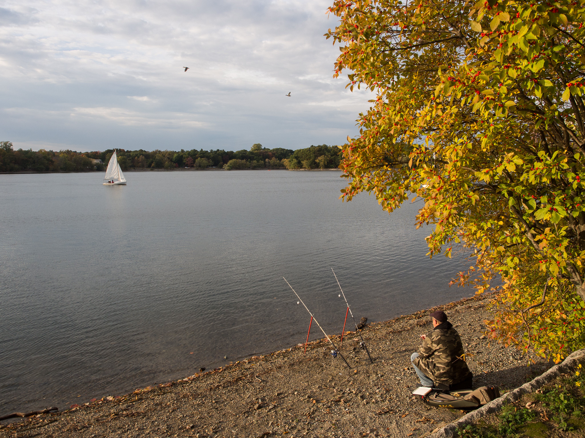 Jamaica Pond, Boston, Massachusetts