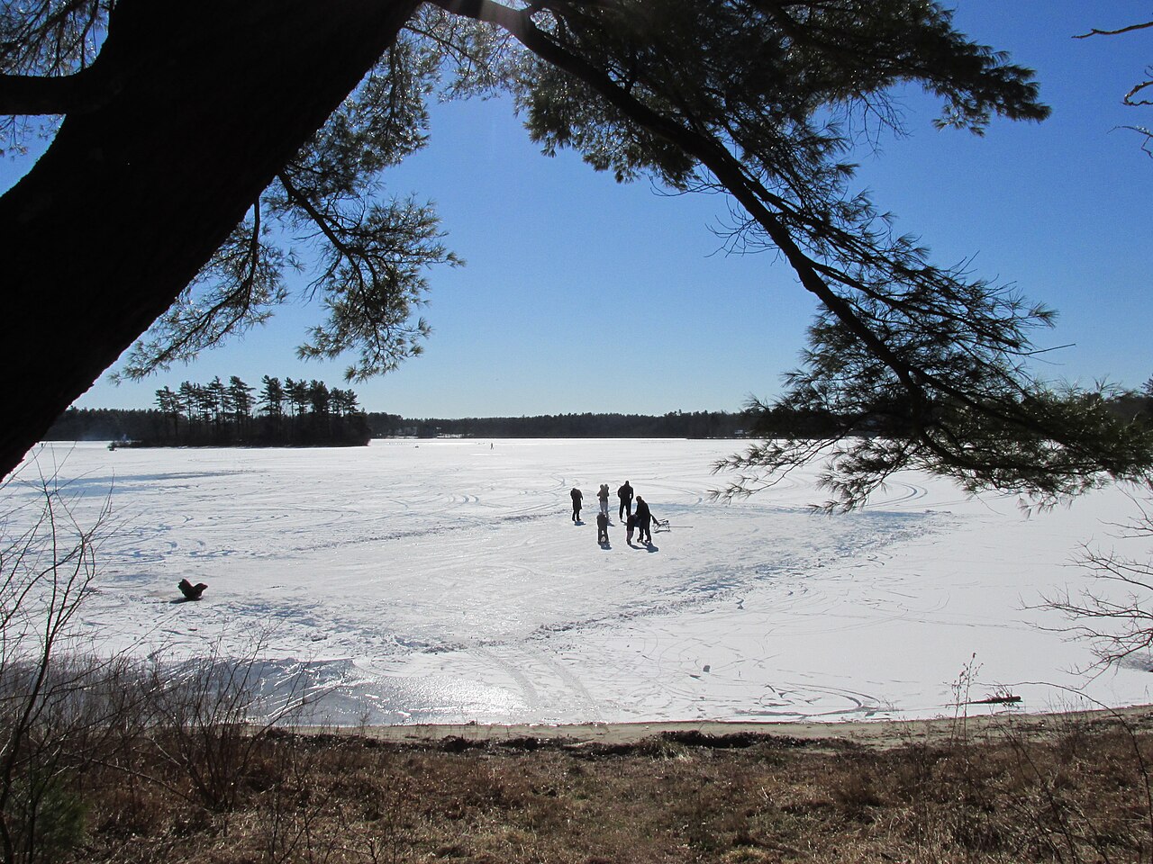 Robbins Pond, East Bridgewater, Massachusetts