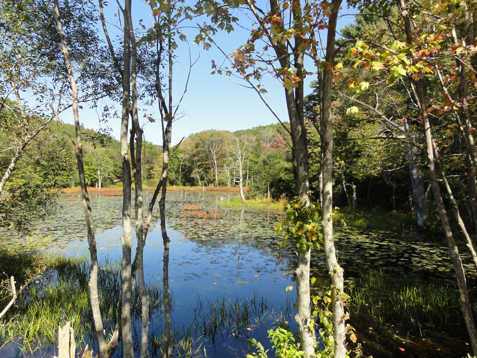 Houghton's Pond, Milton, Massachusetts