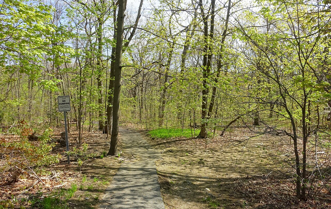 Crusher Lot, Arlington, Massachusetts
