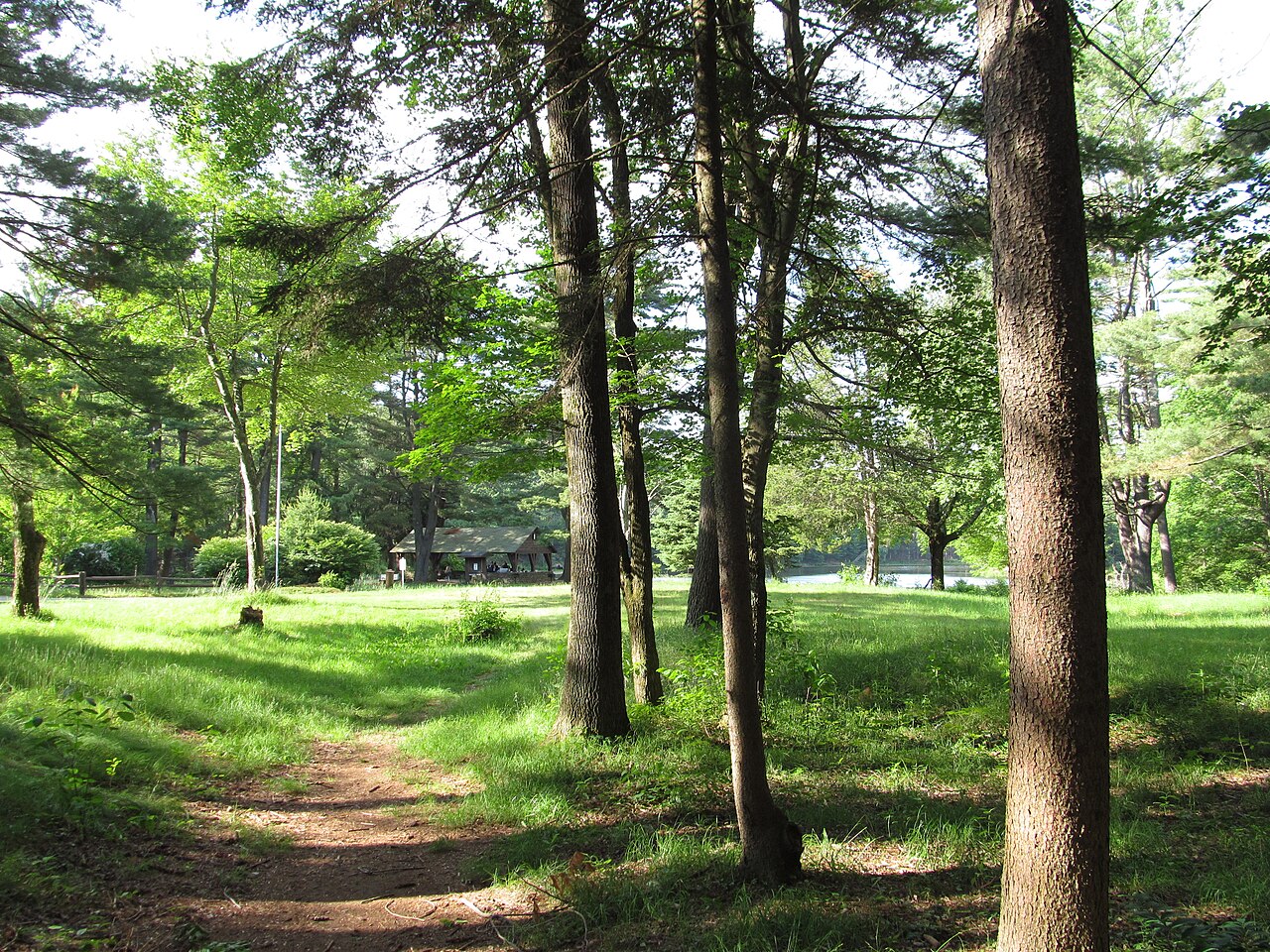 Brimfield State Forest, Brimfield, Massachusetts