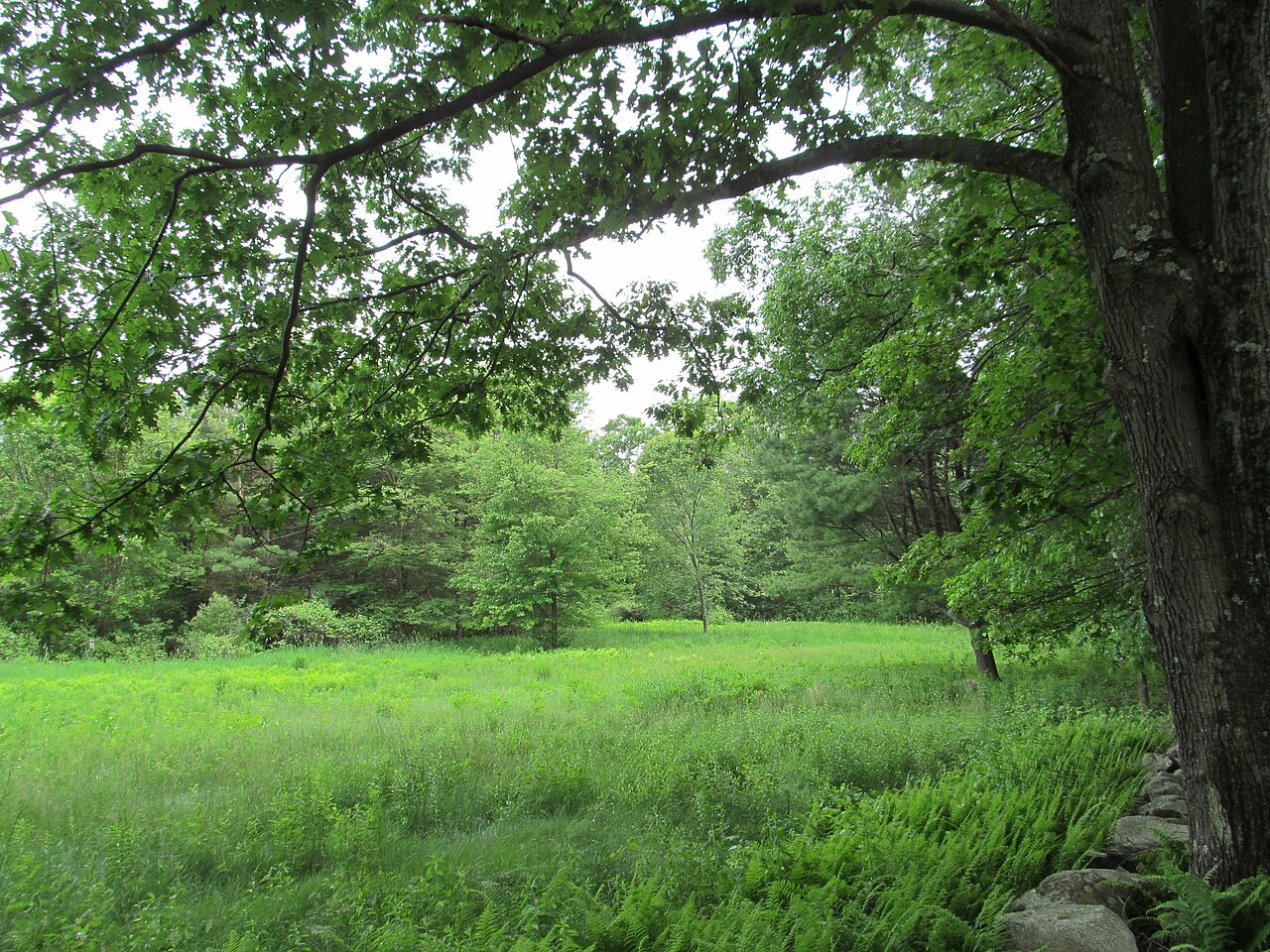 Malcolm Preserve, Carlisle, Massachusetts