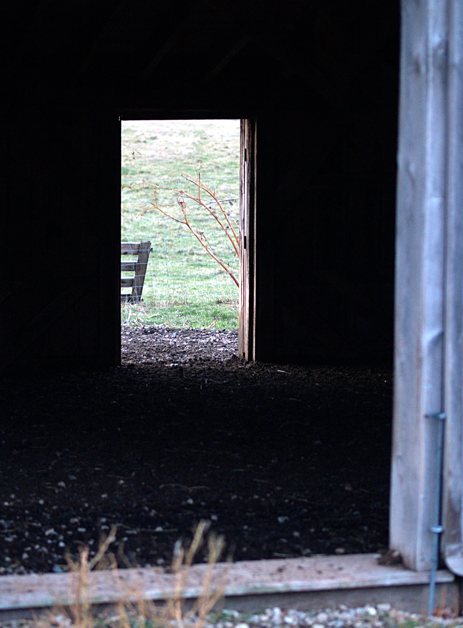 Peterson Farm Conservation Area, Falmouth, Massachusetts
