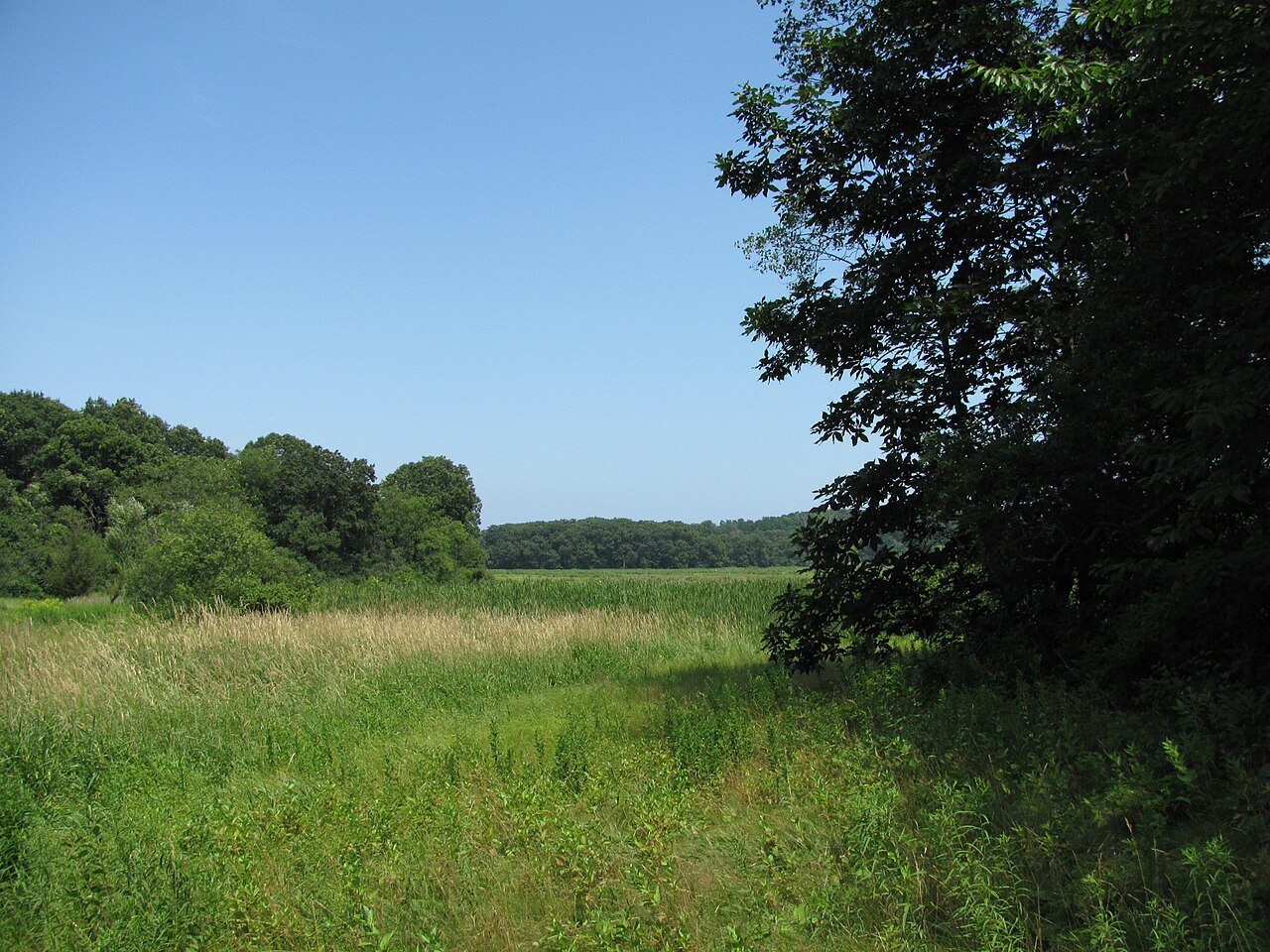 Hamlin Reservation, Ipswich, Massachusetts