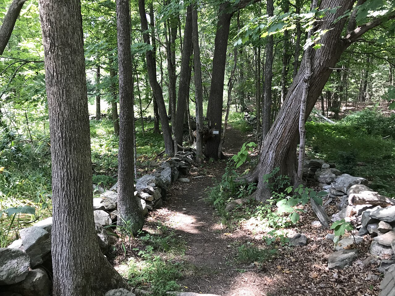 Smith Conservation Land, Littleton, Massachusetts