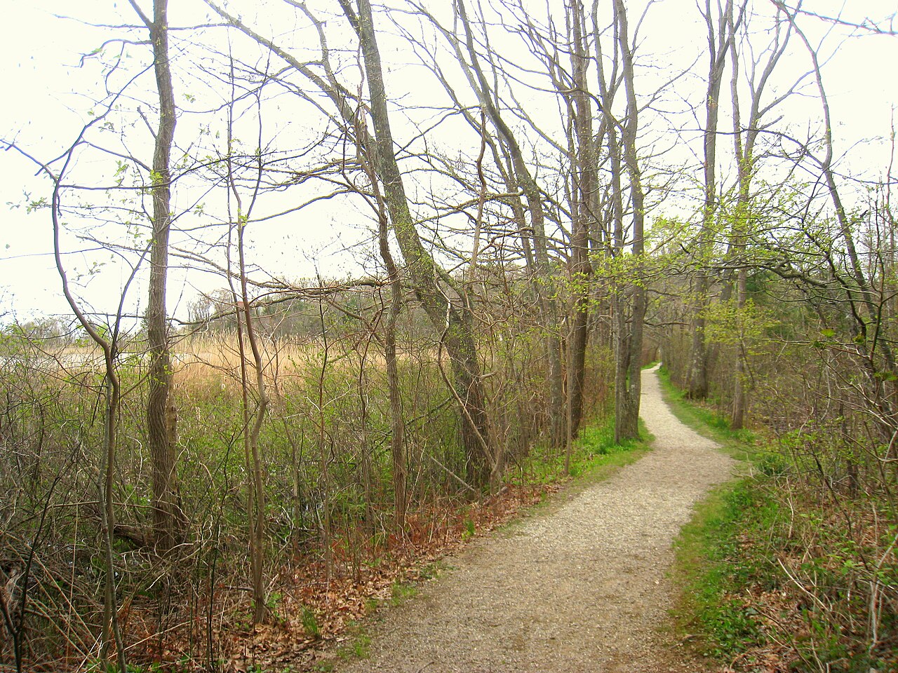 Coolidge Reservation, Manchester By The Sea, Massachusetts