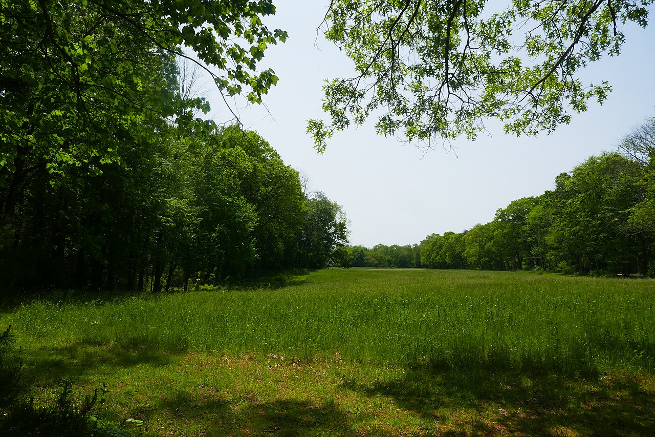 Fork Factory Brook, Medfield, Massachusetts