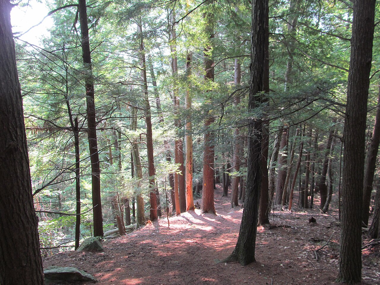 Jacobs Hill Reservation, Royalston, Massachusetts