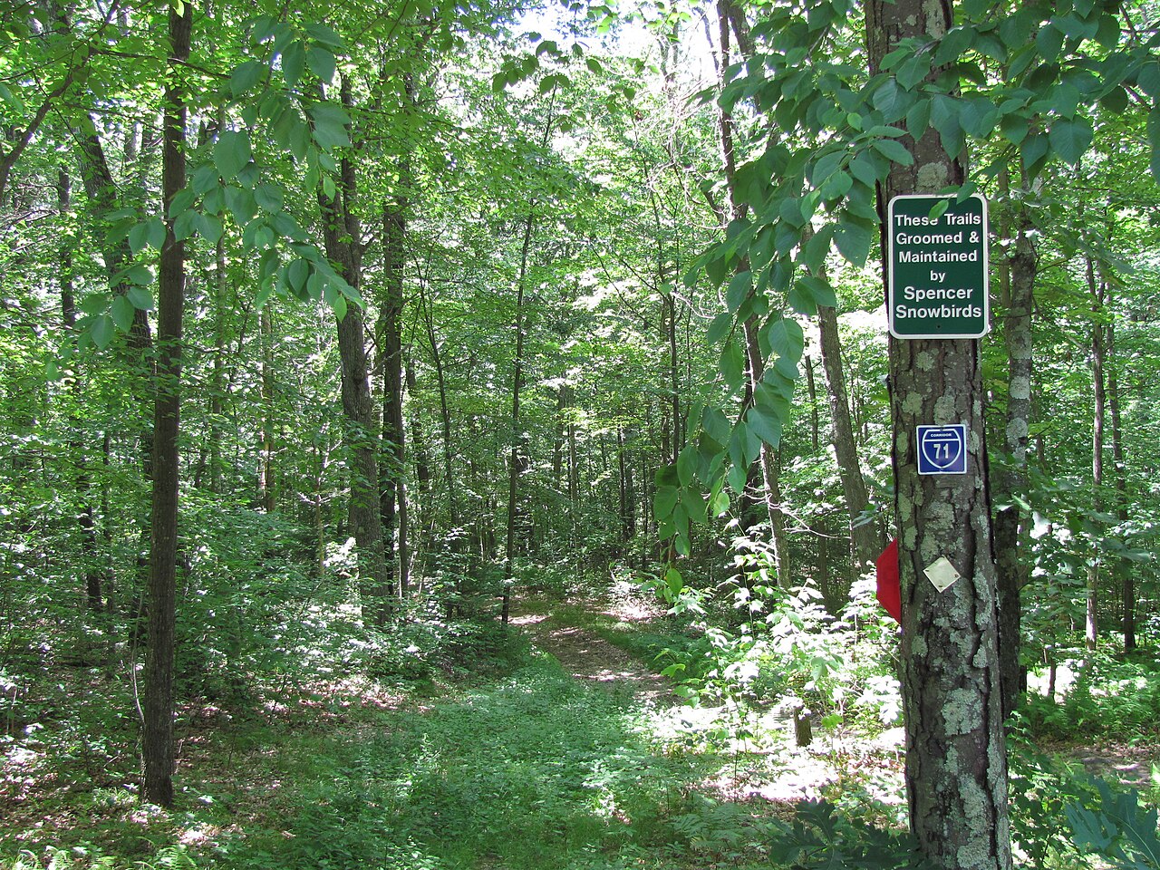 Spencer State Forest, Spencer, Massachusetts