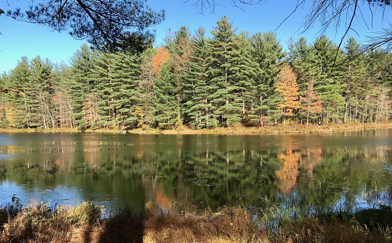 Wendell State Forest, Wendell, Massachusetts
